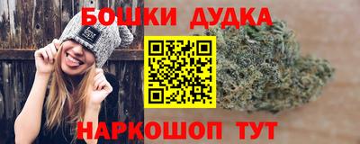 стаф Пенза