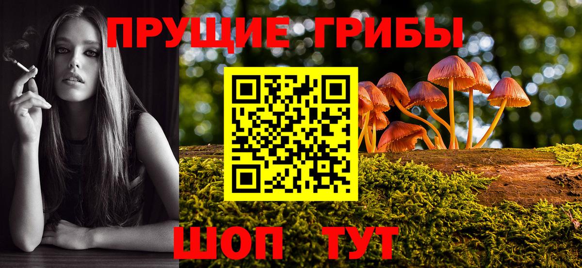 купить наркоту  Псилоцибиновые грибы MAGIC MUSHROOMS  Вход с VPN  Волхов 